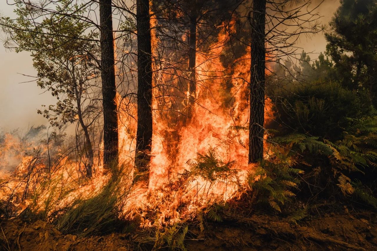 IMG_20251123_193636_563