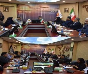 برگزاری جلسه کمیته پزشکی شرکت‌های هواپیمایی در خصوص تب دنگی