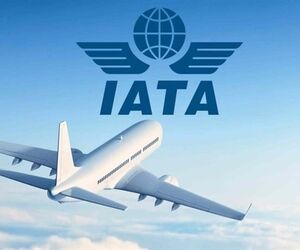 یاتا پیش بینی های خود را تغییر داد 