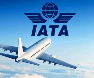 یاتا پیش بینی های خود را تغییر داد 