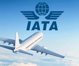 ⁣نقشه راه یاتا برای برون رفت از بحران کرونا 