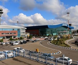 کشف جوجه تیغی تاکسیدرمی شده در فرودگاه رشت + عکس