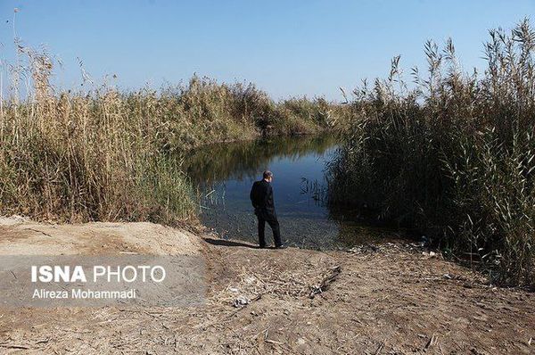 درخواست استاندار خوزستان برای صدور فوری مجوز پرواز هواپیماهای آبپاش توسط عراق