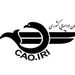 عودت 100 درصد پول بلیت پروازهای هند و پاکستان به مسافران