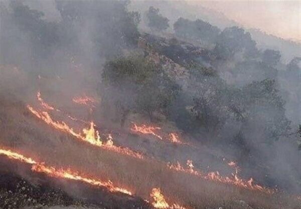 درخواست اعزام بالگرد برای مهار آتش‌سوزی در جنگل‌های پلدختر