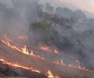 درخواست اعزام بالگرد برای مهار آتش‌سوزی در جنگل‌های پلدختر