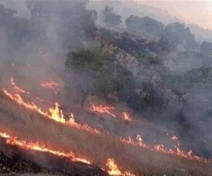 درخواست اعزام بالگرد برای مهار آتش‌سوزی در جنگل‌های پلدختر