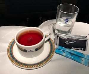 مسافر آمریکایی به خاطر سوختگی با چای داغ، خطوط هوایی ملی مصر را به دادگاه کشاند

