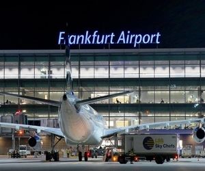 موجودات مرموز کابل‌های برق این فرودگاه را جویدند