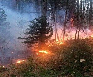 اعزام بالگرد آب‌پاش برای مهار آتش‌سوزی کوه خائیز بهبهان