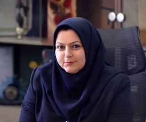 ورود ۳ فروند هواپیمای برزیلی به ناوگان یک ایرلاین داخلی