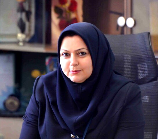 ورود ۳ فروند هواپیمای برزیلی به ناوگان یک ایرلاین داخلی