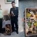 ۱۲ قطعه هدهد تاکسیدرمی شده در فرودگاه رشت کشف شد