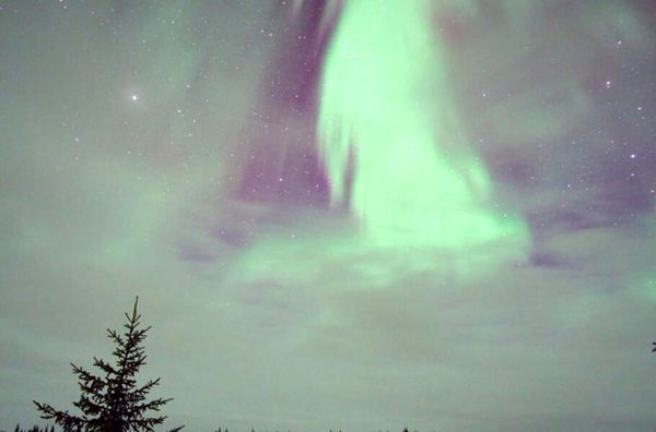 شفق قطبی بر فراز کانادا تصویر روز ناسا شد +عکس