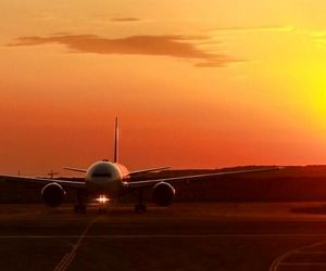 پروازهای خطوط هوایی ترکیه و امارات به تدریج از سر گرفته می‌شود