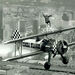 آویزان از بال های مرگ