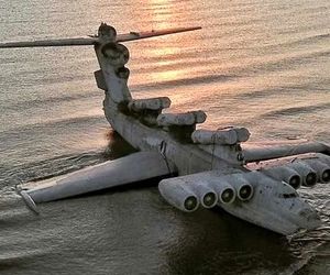 هیولای کاسپین چگونه در سواحل به گل نشست؟ + تصاویر