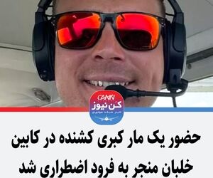 حضور یک مار کبری کشنده در کابین خلبان منجر به فرود اضطراری شد