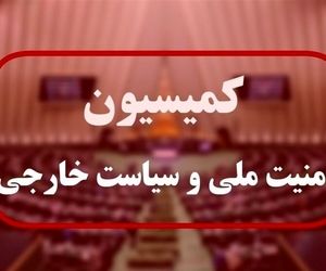 ورود کمیسیون امنیت ملی مجلس به اتفاقات فرودگاه رفیق حریری