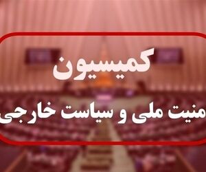 ورود کمیسیون امنیت ملی مجلس به اتفاقات فرودگاه رفیق حریری
