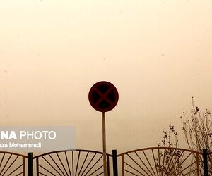 اجتناب از پرواز با گلایدر و بالگرد 
