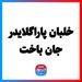 خلبان پاراگلایدر جان باخت