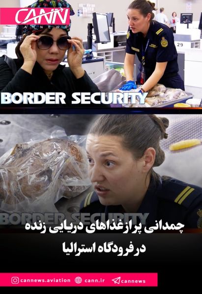 چمدانی پر از غذاهای دریایی زنده در فرودگاه استرالیا