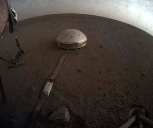 آخرین خبرهای  InSight 