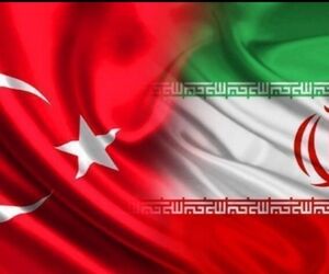بازگشت آگهی‌های فروش تور ترکیه به سایت‌ها