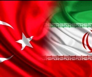 بازگشت آگهی‌های فروش تور ترکیه به سایت‌ها