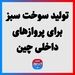 تولید سوخت سبز برای پروازهای داخلی چین