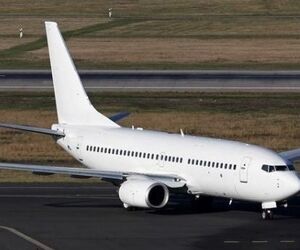 11817 فروند بویینگ 737 بازرسی می‌شوند