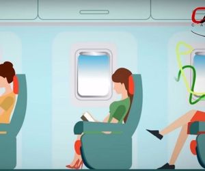 آیا ممکن است هوایی که داخل هواپیما تنفس می کنید،  باعث مریضی شما شود؟