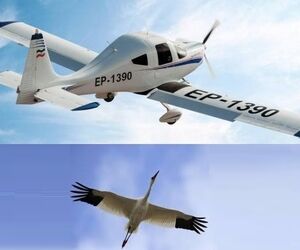 ارتقای فناوری ساخت هواپیما‌های شش نفره دوزیست ایرانی