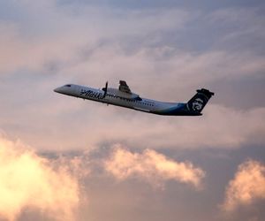 پرواز Horizon Air پس از برخورد با عقاب مجبور به بازگشت به فرودگاه شد