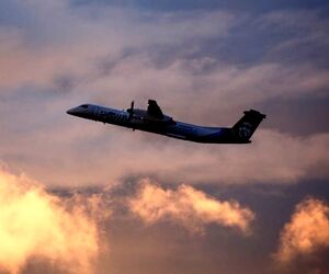 پرواز Horizon Air پس از برخورد با عقاب مجبور به بازگشت به فرودگاه شد