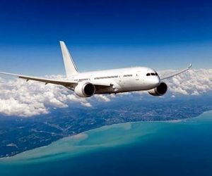 اخراج متفاوت یک زن از کابین هواپیما