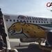 اختصاص هواپیماى تیم ملى فوتبال به پروازهاى مسافرى، امرى عادى و بدون مشکل است. 