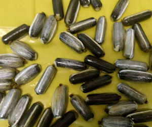 کشف تریاک از بسته غذای حیوان در فرودگاه امام