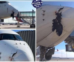 برخورد کرکس با ایرباس A350