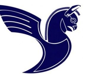 کارکنان هما خودشان مدیرعامل انتخاب کنند