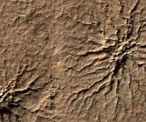 راز «عنکبوت» مریخی در آزمایشگاه ناسا برملا شد