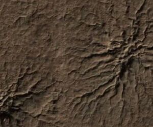 راز «عنکبوت» مریخی در آزمایشگاه ناسا برملا شد