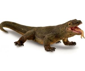 کشف اژدهای کومودوی قاچاق  در لباس مسافر در فرودگاه اینچئون +عکس