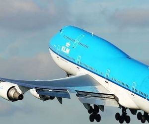 علت خمیدگی بال‌های هواپیما به هنگام پرواز چیست؟