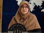انتقاد سخنگوی دولت از قیمت پایین سوخت هواپیما