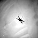 پنجاه و ششمین پرواز بالگرد «نبوغ» انجام شد