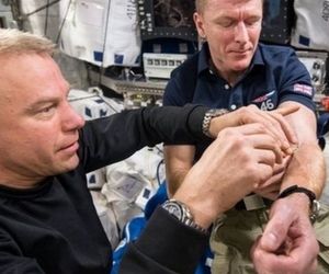 گلبول های قرمز خون در فضا زودتر از زمین نابود می شوند