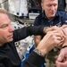 گلبول های قرمز خون در فضا زودتر از زمین نابود می شوند