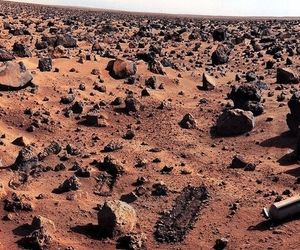 ناسا حیات بیگانه را ۵۰ سال پیش پیدا کرد و از بین برد!